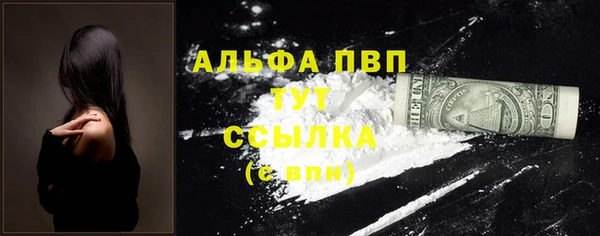 спайс Грязовец