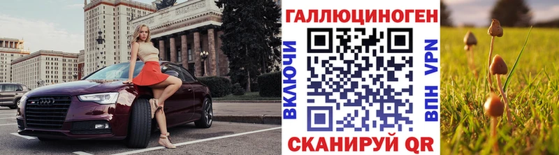 OMG сайт  как найти   Выборг  Псилоцибиновые грибы мицелий 