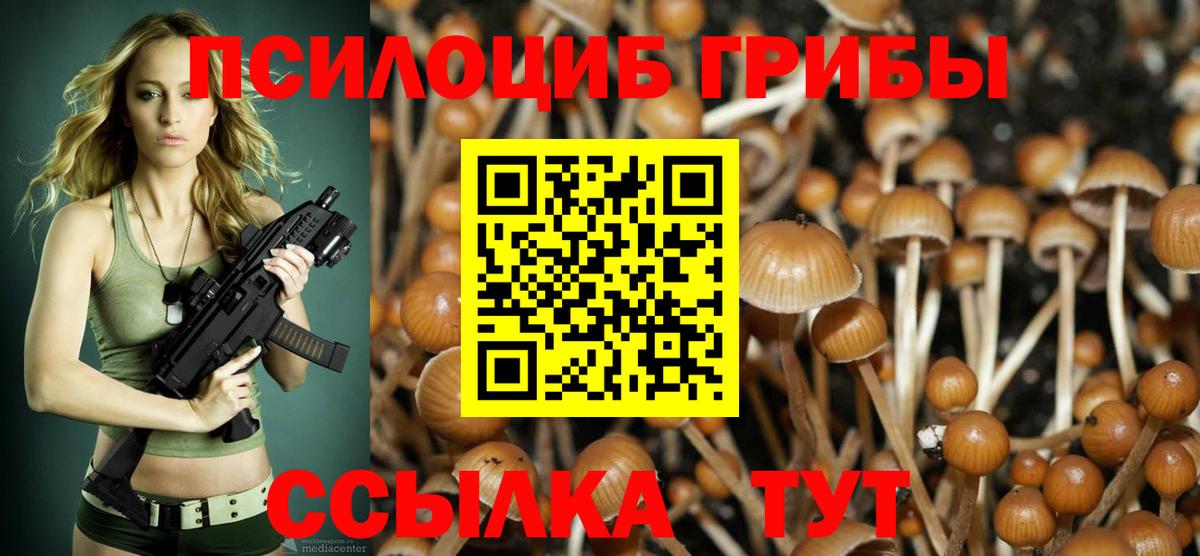 Псилоцибиновые грибы мухоморы Выборг