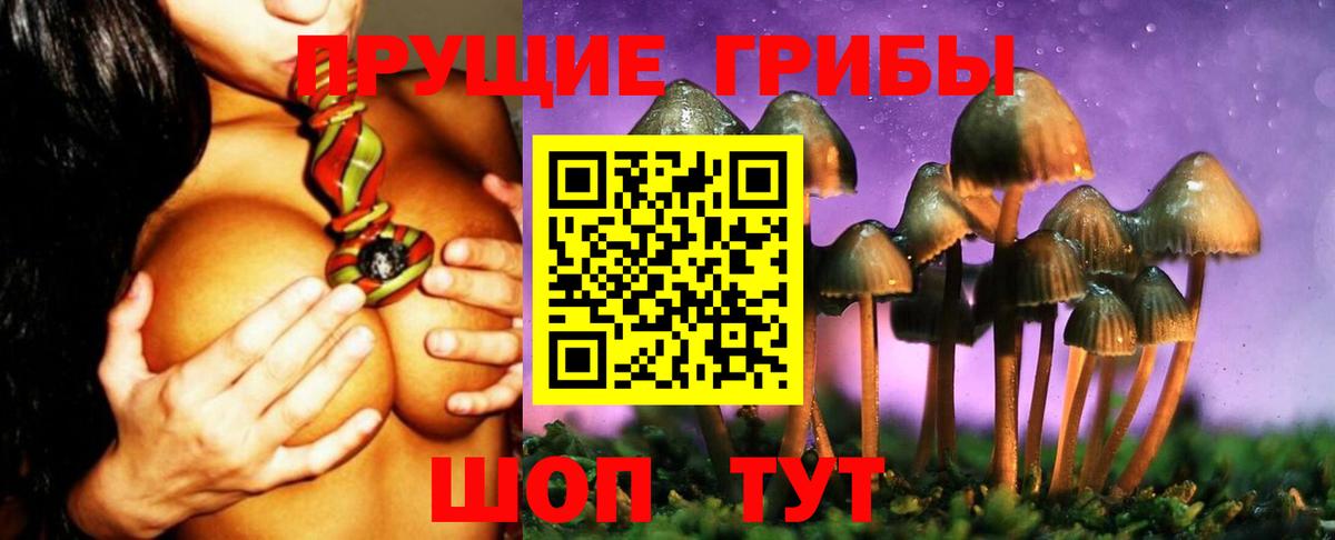 Галлюциногенные грибы ЛСД  Псилоцибиновые грибы ЛСД  продажа наркотиков  Вход с VPN  Выборг 