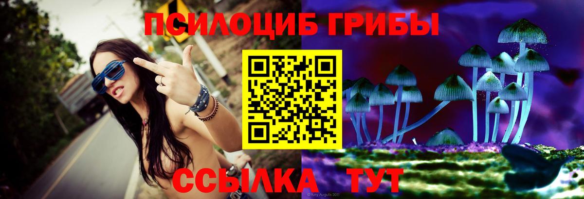 Псилоцибиновые грибы ЛСД  Выборг 